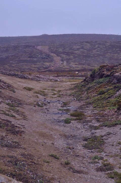 Made Whole in the Power of Christ